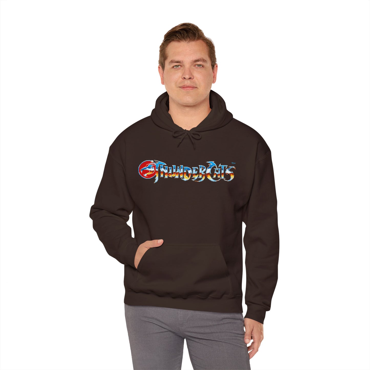 ThunderCats Unisex Heavy Blend Hoodie – Nostalgic Comfort Meets Timeless Style